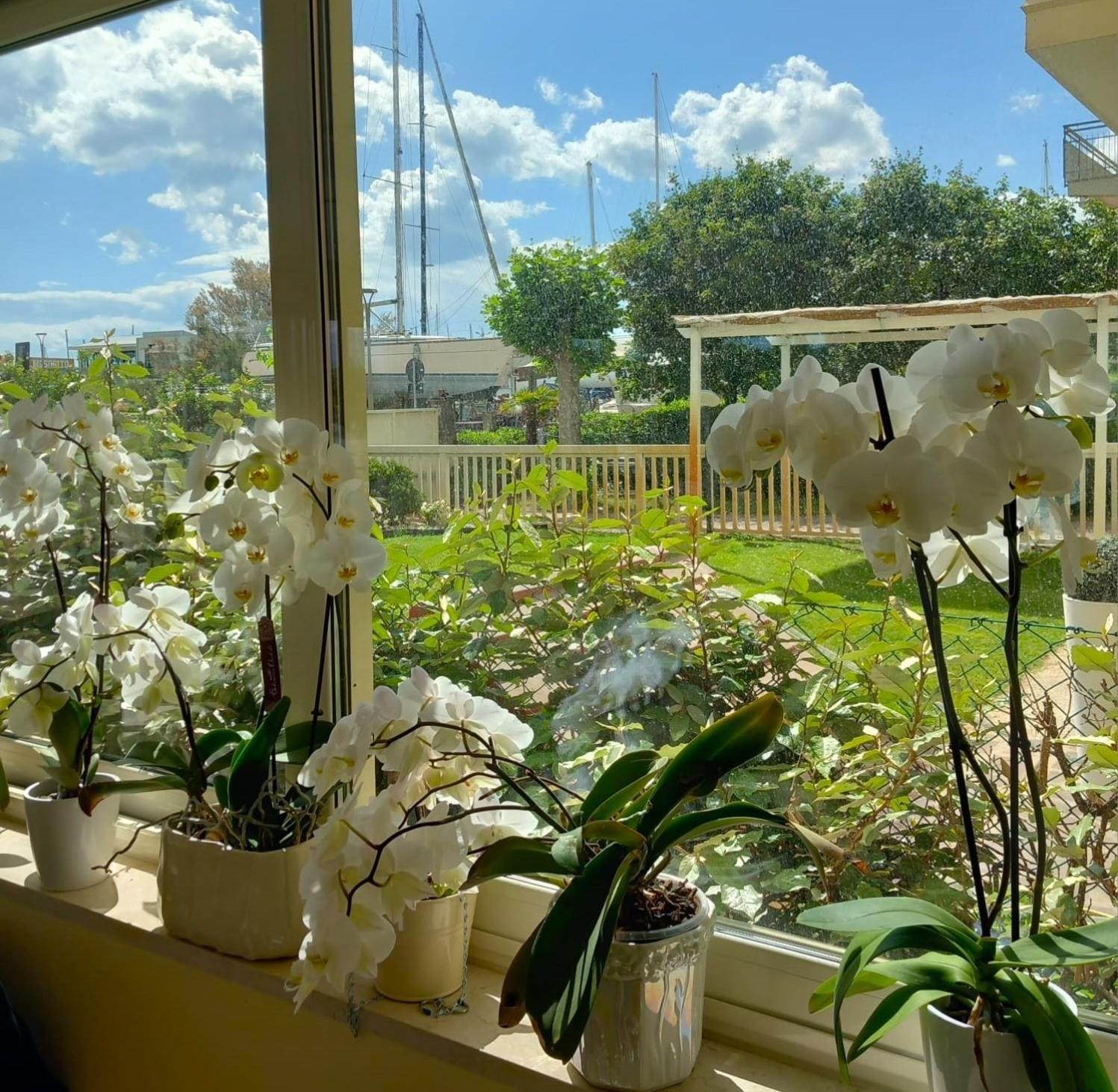 מילאנו מריטימה Hotel Ariella מראה חיצוני תמונה